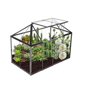 Metal & <b>Clear</b> Glass Tabletop Terrarium With Customized Finishing Hexagonal Shape Excellent Quality for Decoration . - Product Image 4