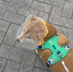 ELEVE - Bozal Transpirable para Perro, Ajustable, de Malla Suave, Anti-Mordidas, Anti-Ladridos, Anti-Masticación, con Diseño Floral, para Perros Pequeños, para Peluquería Canina y Entrenamiento - Product Image 4