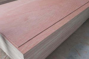 Feuille de bois de contreplaqué de bouleau de bonne qualité du fabricant du Vietnam 5mm & 9mm pour les hôtels et pour les produits de contreplaqué marin à bon prix - Product Image 6