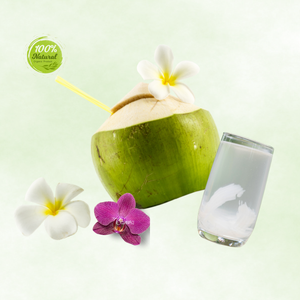 Noix de coco fraîche de qualité supérieure, semi-décortiquée, 12-15 cm, de culture vietnamienne, fruit jeune sub-tropical, mûr - Product Image 6