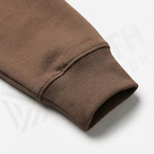 Sweat à capuche unisexe en molleton peigné 100 % coton, style 2025, grandes tailles, pour hommes, avec broderie de logo personnalisée, hauts chauds d'hiver - Product Image 6