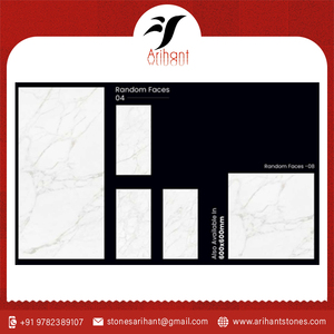 Azulejos de porcelana de pared y suelo Satuario Mexy a precio asequible de fabricante indio - Product Image 2