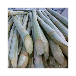 Vente chaude canne à sucre congelée canne à sucre douce meilleure qualité prix bon marché du Viet Nam disponible en vrac - Product Image 2