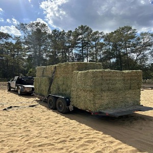 Compre Heno de Alfalfa para Alimentación Animal a Granel de Francia con 12 Meses de Vida Útil, 100% Libre de Humedad para Alimentar Ganado, Caballos y Animales Pequeños - Product Image 4