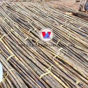 <b>RATTAN</b> <b>CANE</b> PRODUCT From VIETNAM // DECORATE // PROVIDE for YOU with PREMIUM <b>RATTAN</b> <b>CANE</b> - Product Image 2