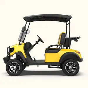 2+2 Electric Mini Car 4 Seater Battery Operated Golf Cart