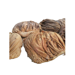 Omasum de bœuf en gros à prix réduits, idéal pour les restaurants et les fournisseurs de produits alimentaires - Product Image 6