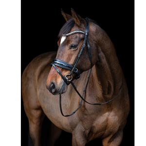 สแนฟเฟิล บริดเดิล - Product Image 1