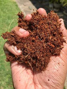 Substrat de tourbe de noix de coco pour légumes et fleurs - Product Image 3