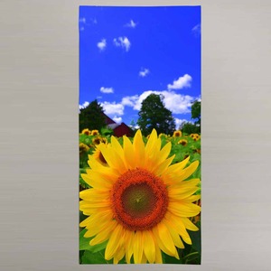 Tùy Chỉnh Bông Bãi Biển Khăn 350 GSM Kỹ Thuật Số In Với Phong Cách Nhiệt đới Cho Phòng Tập Thể Dục Kỳ Nghỉ Mùa Hè Tắm Nắng 33 - Product Image 4