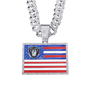 Collar con Colgante de Campeonato de Fútbol Americano Raider, Chapado en Oro de 14K y Rodio sobre Plata 925, Bandera Americana Retro, Estilo Hip Hop con Moissanita, Gran Venta - Product Image 1