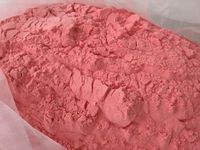 Poudre d'extrait de fruit de Camu Camu 100% pure, qualité alimentaire supérieure, vitamine C, superaliment antioxydant, approvisionnement en vrac