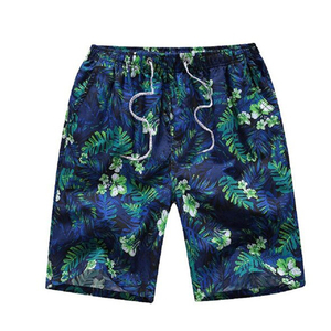 Pantalones cortos de playa deportivos de verano para hombre recién llegados al por mayor 100% algodón secado rápido ecológico sólido multicolor nueva moda satén - Product Image 1