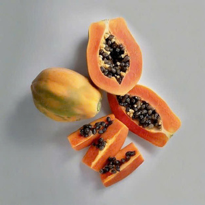 Delicias de Papaya - Papaya Seca Tropical - Papaya Seca de Calidad de Exportación - Product Image 3