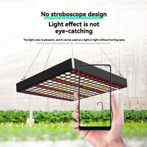 Cho lượng tử Hội Đồng Quản trị quang phổ đầy đủ Led trang trại ánh sáng cho các nhà máy trong nhà IP65 đánh giá cho nhà kính & nhà máy phát triển - Product Image 6