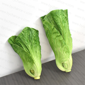 Réaliste Artificielle Feuille Verte Légumes Prop pour Cuisine Décor Ferme Style Maison Jardin Showroom Affichage - Product Image 6