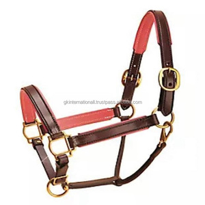 Cabestro de caballo acolchado de cuero de 1 pulgada de ancho con herrajes de latón ajustable sólido disponible en todos los tamaños y colores - Product Image 1