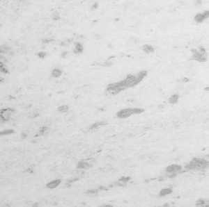 โต๊ะกาแฟทรงกลมทำจากไม้ดีไซน์อาร์ตเดคโคคุณภาพระดับพรีเมียมแปลกใหม่และสร้างสรรค์ตกแต่งบ้านสำหรับบ้านออฟฟิศและสวนของดิวาลี - Product Image 3