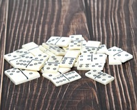 100% qualité parfaite Buffalo Bone Domino ensemble de 25 pièces pour enfants et adultes conseil Domino jeux d'intérieur Domino jeux pour jeu de famille