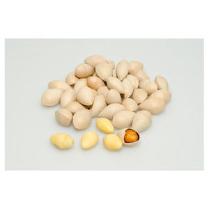 Prix de vente chaud des noix de Ginkgo crues disponibles en quantité en vrac - Product Image 3