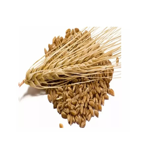 Grano de Cebada Orgánico Fresco Personalizado para Alimentación Animal, Origen EE. UU., 2 Años de Vida Útil, Almacenamiento en Frío y Seco - Product Image 1