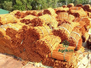 แท่งซินนามอนจากเวียดนาม/แท่งอบเชยรสเผ็ดเกรดพรีเมี่ยมแห้งดีพืชผลใหม่ราคาเป็นจำนวนมาก + 84 865216698 - Product Image 3