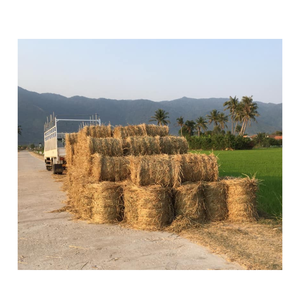 Emballage de paille de riz par le fournisseur supérieur dans le monde fait au Vietnam - Product Image 6