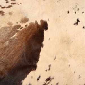 Cuir de vachette 100% véritable, cuir pleine fleur pour vêtements et autres utilisations - Product Image 6