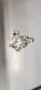 Ustom-Mini conchas marinas naturales, adecuadas para tiendas de conchas marinas para reventa e ideales para usar recortando tiendas de suministro - Product Image 3