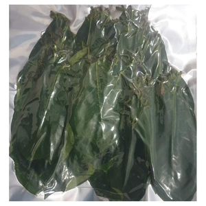 ต้นทุเรียนเทศแห้งสดชื่นใบชาสมุนไพรใบกราวิโอลาแห้งเรียบสำหรับประสบการณ์ผ่อนคลายในแต่ละวัน - Product Image 3