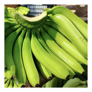 Banana Cavendish fresca Premium cosechada cuidadosamente en Vietnam, empaquetada ordenadamente y suministrada consistentemente para los mercados de exportación - Product Image 6