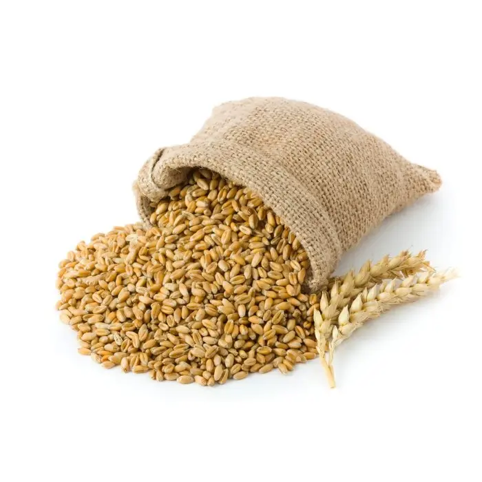 Exportador por atacado de grãos de trigo saudáveis de alta qualidade a granel 100% puro Nutrição fabricante de grãos de trigo grãos de trigo