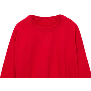 Sudadera de Invierno Transpirable Personalizada de Alta Calidad para Mujer, Bordada, de Poliéster, Algodón y Felpa, Nueva Llegada 2026 - Product Image 4