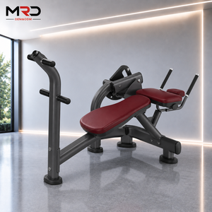 Máquina de <span class=keywords><strong>Abdominales</strong></span> Sentado, Entrenador de Core, Equipo de Fitness Comercial para Ejercicios de Cintura y Entrenamiento de Fuerza - Product Image 1