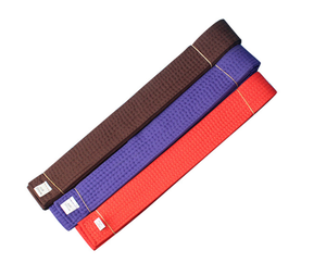 Cinturones de Rango de Color para Taekwondo y Judo de Alta Calidad para Niños y Adultos, Venta al Por Mayor - Product Image 4