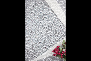 Tissu de broderie net à forte demande Design classique coloré pour les fashionistas par Hitjem Export Private Limited - Product Image 5