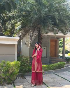 Tenue de soirée marron pakistanaise Salwar Kameez avec Dupatta pour femme, costume Sharara, top-palazzo, costume ethnique indien - Product Image 3