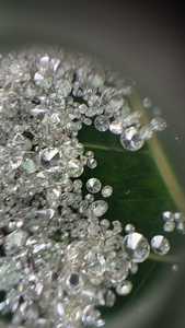 เพชรทรงกลมสีขาวสว่างได้รับการรับรองจาก CVD HP - Product Image 5