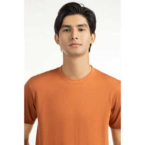 Camisetas de Corte Regular 100% Algodón, Transpirables, Antiarrugas, de Manga Corta, Talla Grande, Color Caramelo, para Hombre, Verano, 260gsm Jersey - Product Image 4