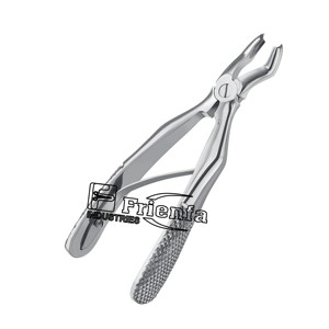 Fórceps de extracción para niños para raíces inferiores Figura 33S Instrumentos Fabricantes hechos de acero inoxidable alemán de alta calidad - Product Image 5