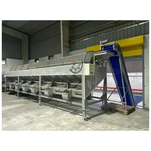 TTQ специализируется на оптовой поставке высококачественных машин для сортировки орехов кешью, произведенных во Вьетнаме