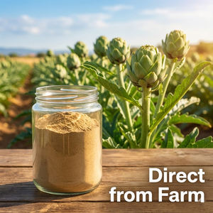 Soutien à la détoxification du foie, poudre d'extrait d'<span class=keywords><strong>artichaut</strong></span>, feuille de Cynara Scolymus, complément alimentaire à base de plantes pour une digestion saine du cholestérol et la santé cardiaque - Product Image 1