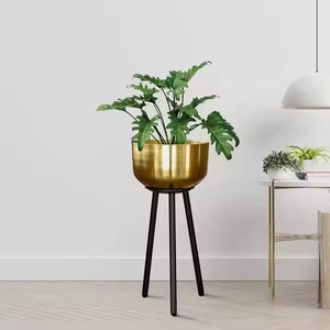 Maceta de metal brillante dorado Maceta con soporte dorado Maceta de metal Accesorios decorativos de jardín Maceta a precio asequible - Product Image 3