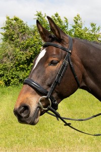 Bride de cheval en cuir de haute qualité de choix de professionnels pour un usage équin - Product Image 2