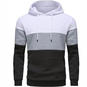 Sudadera con capucha con logotipo personalizado de alta calidad para hombres 100% algodón Heavy Fleece invierno 3D bordado hombres sudaderas con capucha - Product Image 1