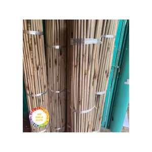 Palo de bambú natural para jardín, soporte para plantas de flores, árbol de tomate, poste trepador, Estaca de paisajismo para uso agrícola - Product Image 2