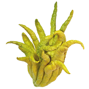 พระสดคุณภาพเยี่ยม/กลิ่นหอมและรสชาติที่แข็งแกร่ง/ราคาพิเศษออนไลน์/ผลิตในเวียดนาม - Product Image 4