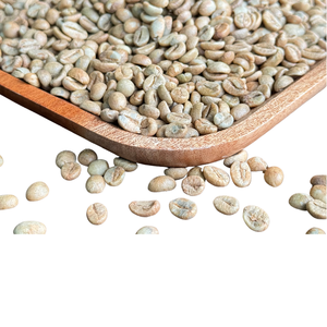 เมล็ดกาแฟโรบัสต้าคั่วถั่วเขียวแห้งจากเวียดนามซึ่งผลิตโดยผู้เชี่ยวชาญ - Product Image 5