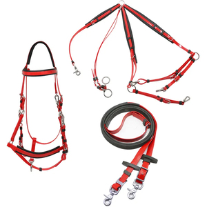 PVC résistant aux intempéries équitation bride équitation martingale ensemble complet Marathon cheval métal rouge blanc vert nylon - Product Image 4