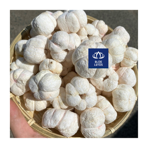 PRODUCTO CALIENTE Mangosteen liofilizado de Vietnam Combina una textura crujiente con la dulzura refrescante del Mangosteen - Product Image 1